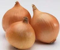 Лук-севок Шекспир (озимый)